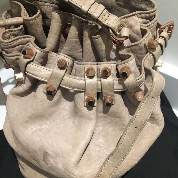 Alexander Wang Diego bag in beige and rosegold hardware - Picture 2 of 6